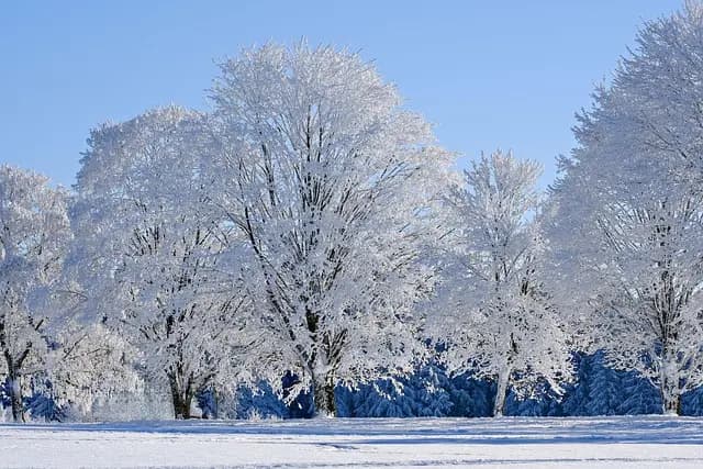 Comment bien préparer votre remorque agricole pour l'hiver