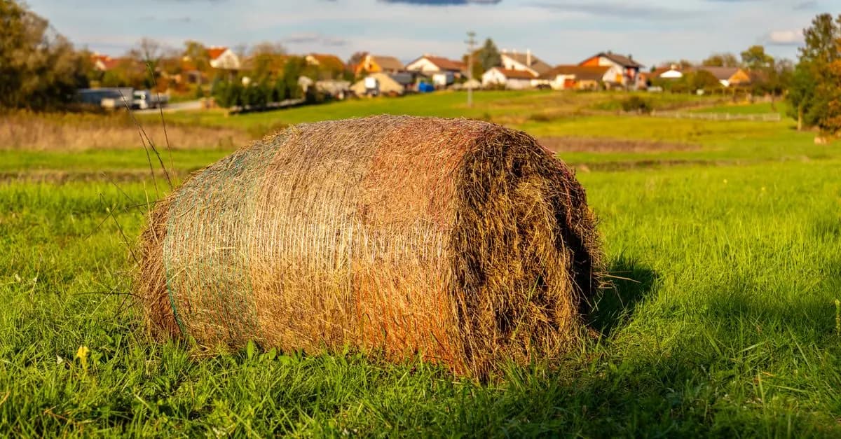 Les meilleures remorques agricoles pour petites exploitations