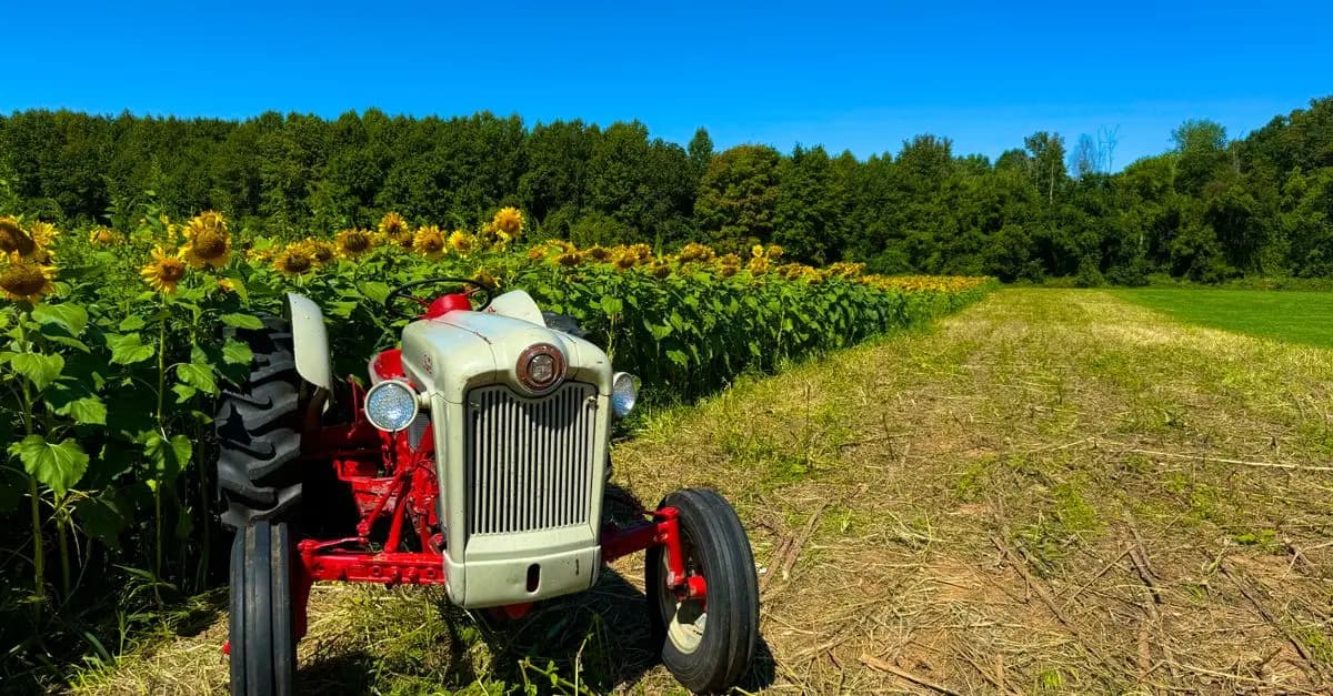Comment bien choisir une remorque agricole pour vos besoins