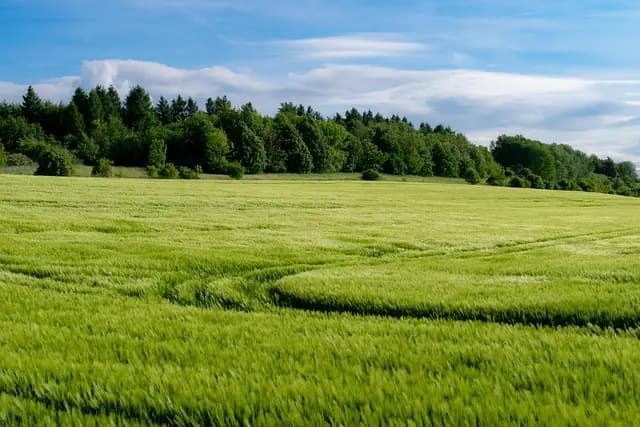 7 astuces pour bien entretenir votre remorque agricole