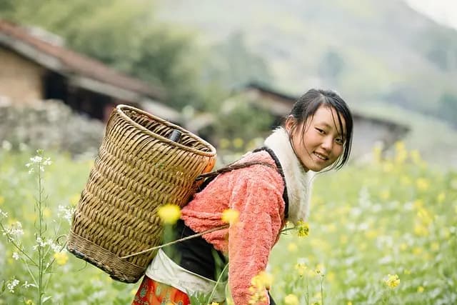 Comment choisir la remorque agricole idéale pour vos besoins