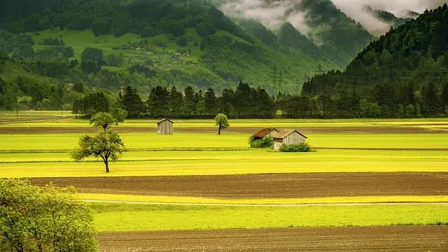 Comparatif des remorques agricoles : choisir la meilleure option