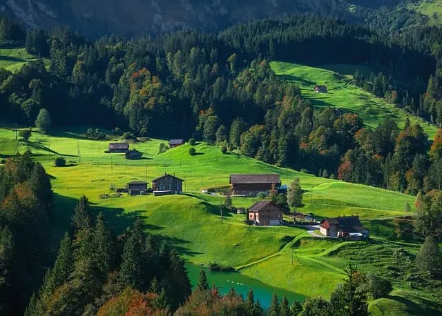 Les avantages d'utiliser une remorque agricole pour votre exploitation