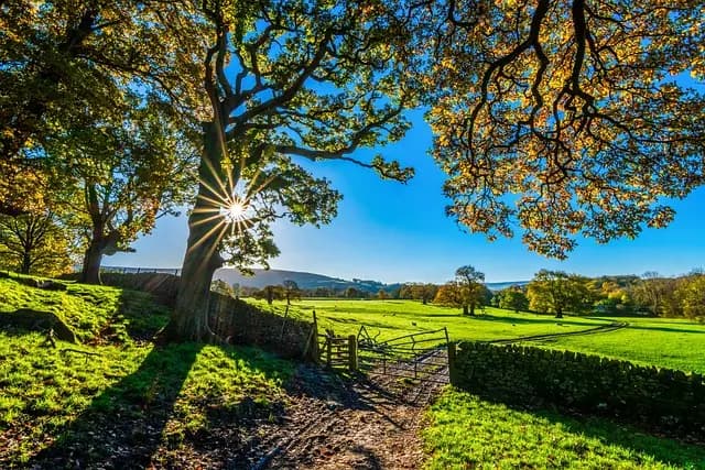 Comment bien entretenir sa remorque agricole pour une longévité optimale