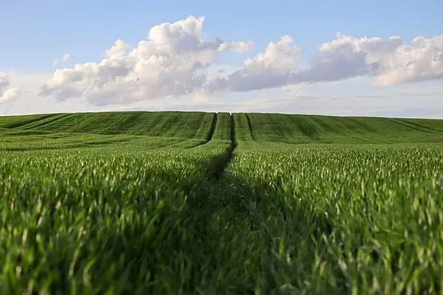 Comment choisir la remorque agricole idéale pour vos travaux