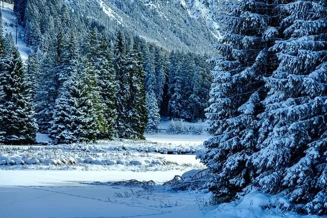 Comment bien préparer votre remorque agricole pour l'hiver