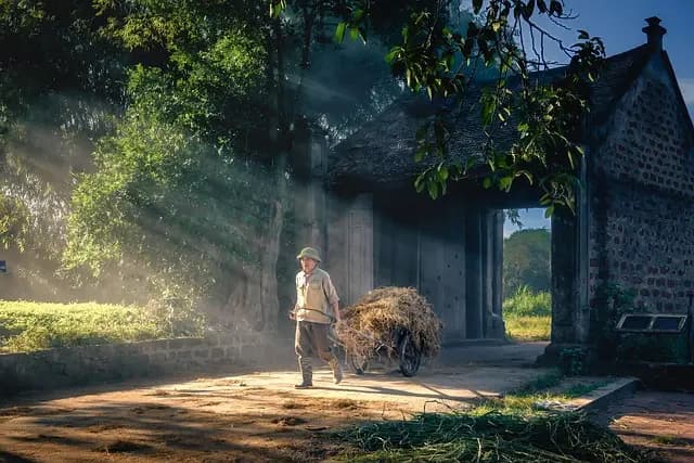 Top 5 des erreurs à éviter lors de l'utilisation d'une remorque agricole