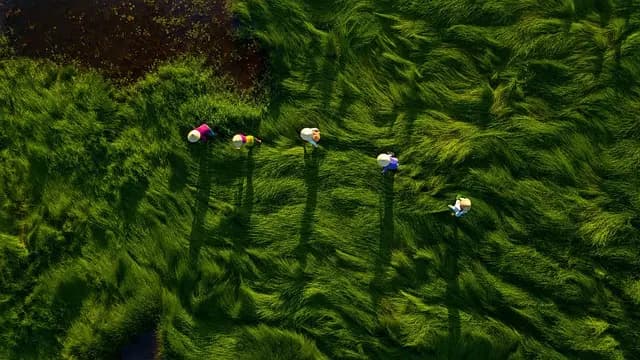Les 7 erreurs fréquentes à éviter lors de l'achat d'une remorque agricole