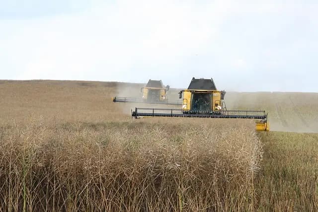Comment choisir une remorque agricole adaptée à votre exploitation