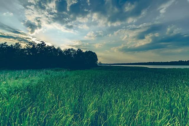 Comment bien optimiser l'utilisation de votre remorque agricole