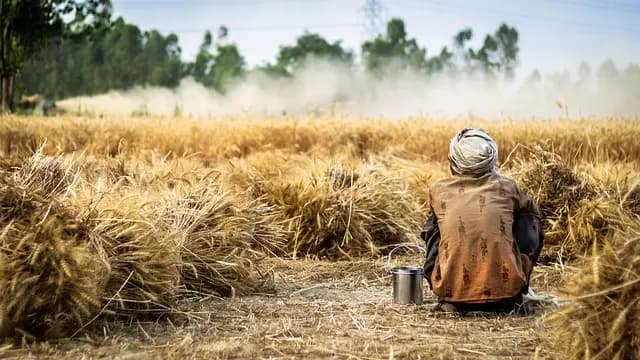 Les avantages des remorques agricoles modulables pour votre exploitation