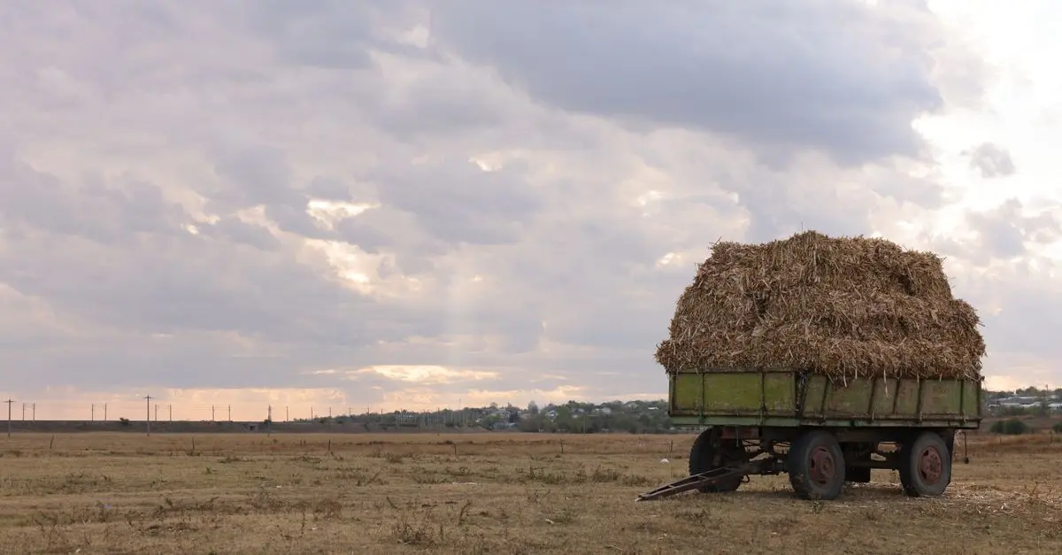 Comment choisir une remorque agricole pour votre exploitation