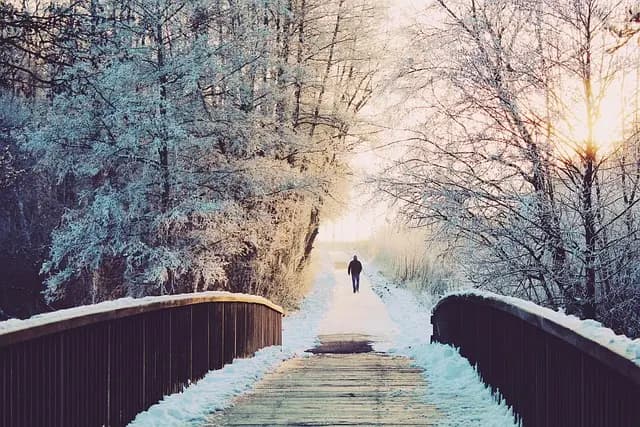 Comment préparer votre remorque agricole pour l'hiver