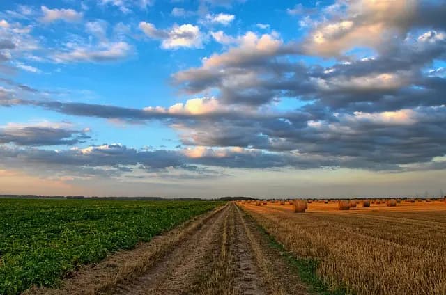Comment choisir les pneus adaptés pour votre remorque agricole
