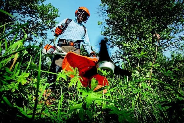 Guide complet sur l'entretien des remorques agricoles