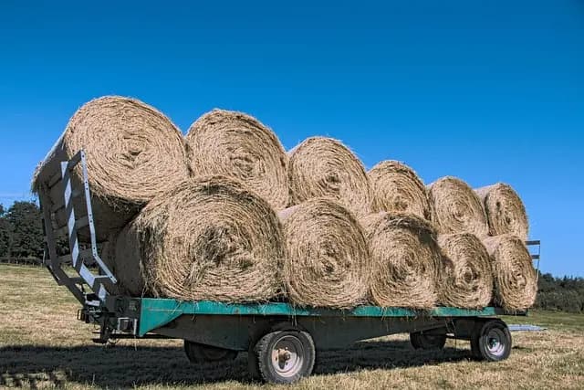 Les remorques agricoles polyvalentes : un atout pour votre exploitation
