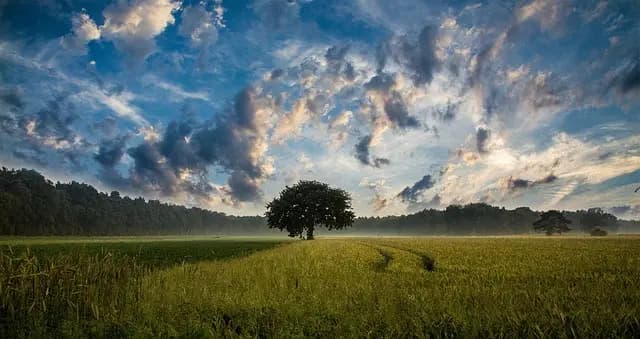 Les erreurs à éviter lors de l'entretien de votre remorque agricole