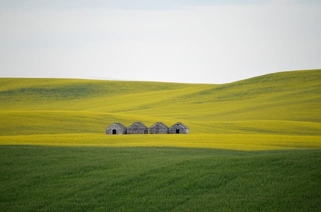 Les 7 meilleures remorques agricoles à benne en 2026