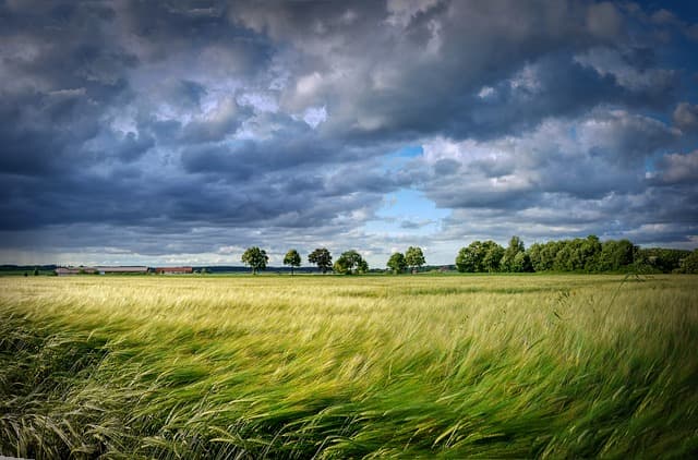 Les différents types de remorques agricoles et leur utilisation