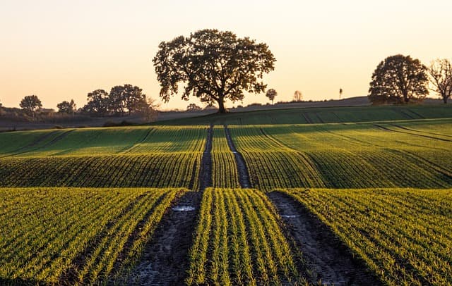 Les critères essentiels pour choisir une remorque agricole