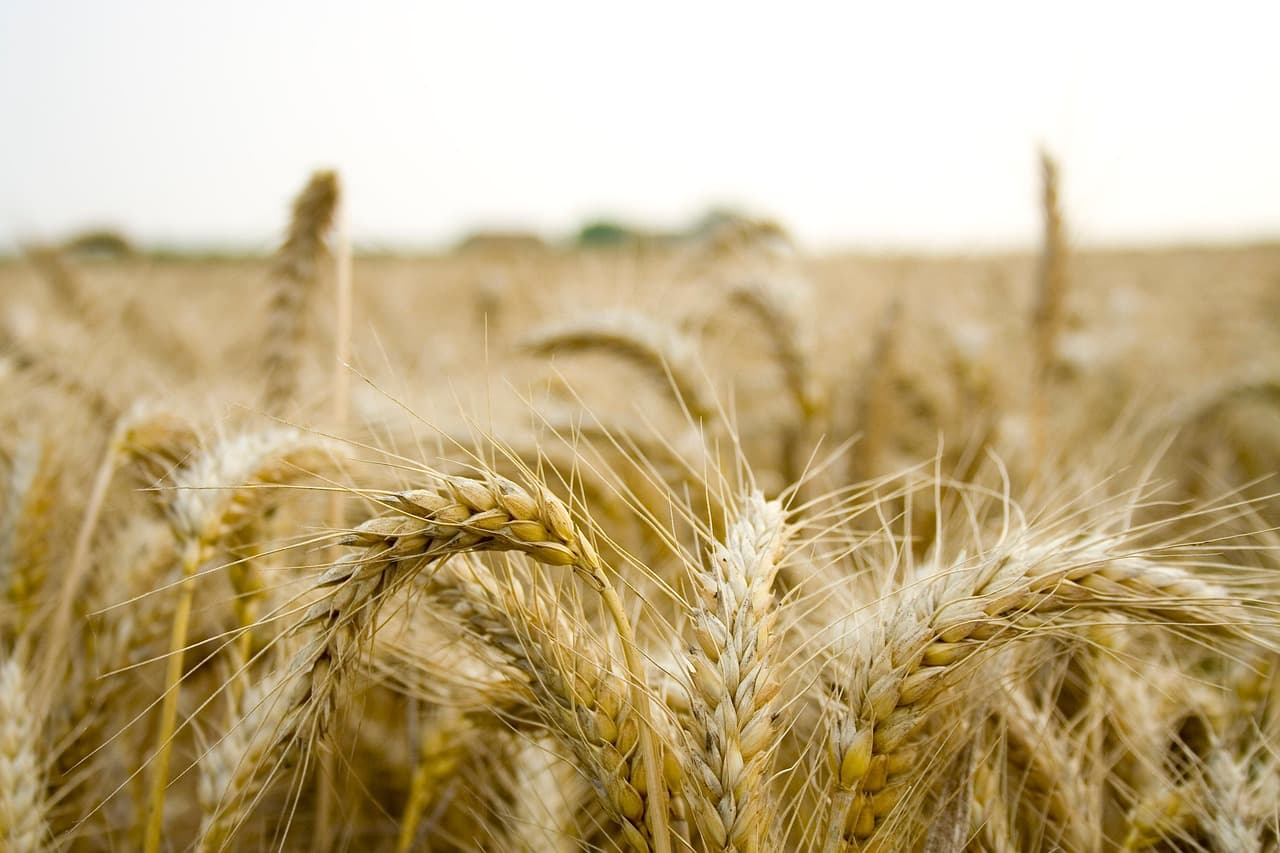 Les remorques agricoles innovantes à surveiller en 2026