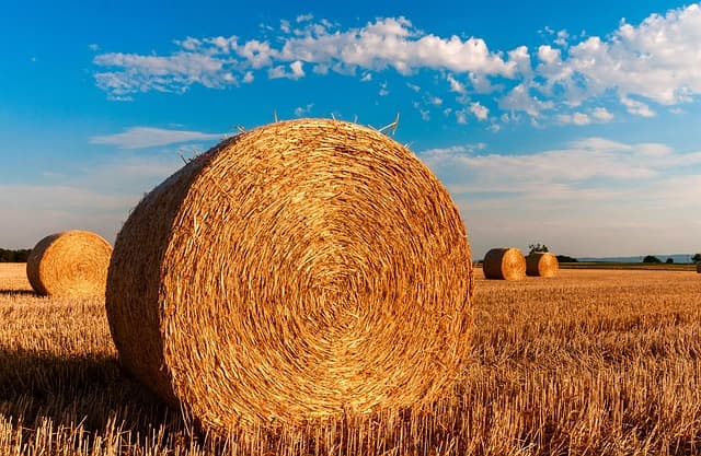 Comment choisir la remorque agricole parfaite pour vos besoins