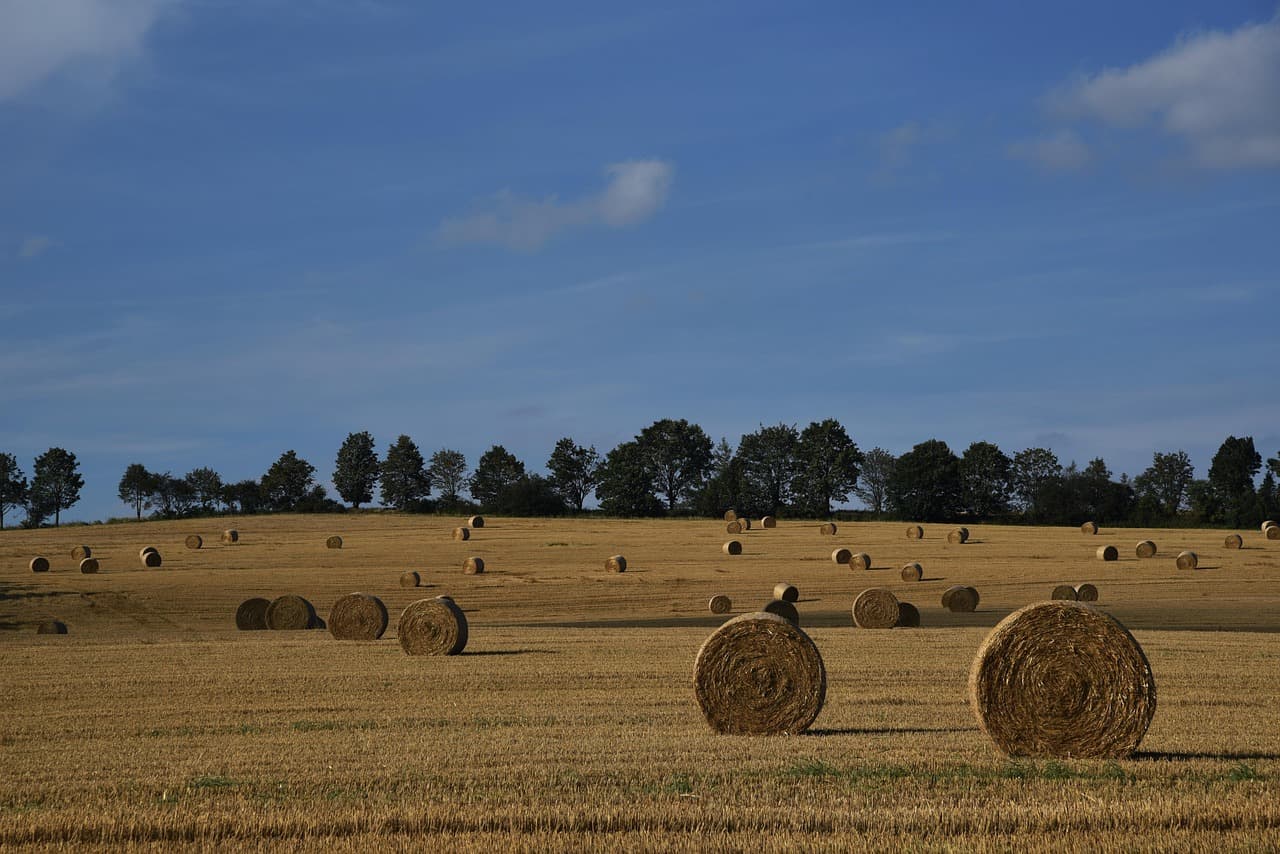 Comment optimiser le chargement de votre remorque agricole