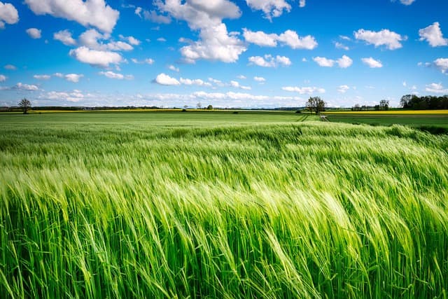 Comment choisir la remorque agricole adaptée à votre exploitation