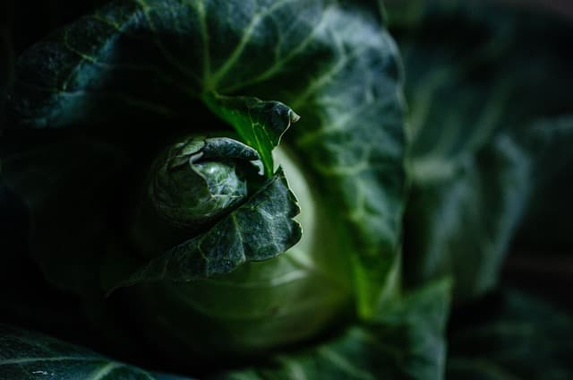 Les remorques agricoles modulables : avantages et inconvénients