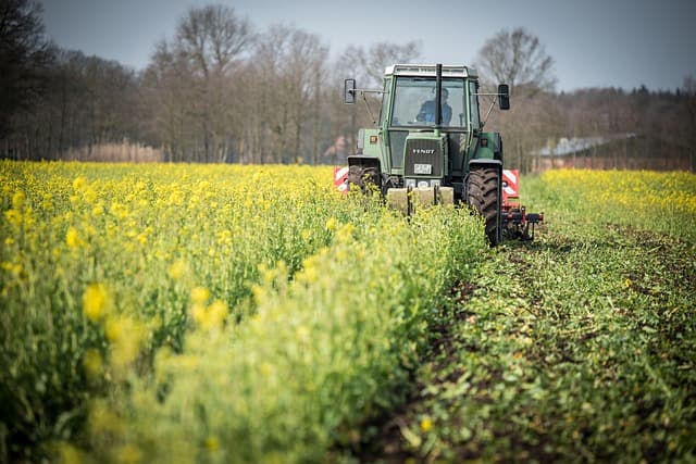 Les avantages des remorques agricoles à benne basculante