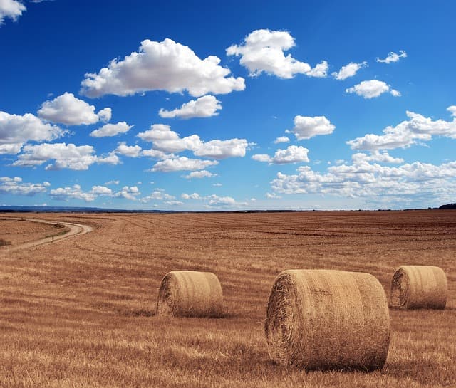 Comment choisir la remorque agricole adaptée à votre exploitation