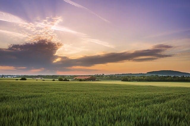 Comment choisir une remorque agricole pour un usage spécifique