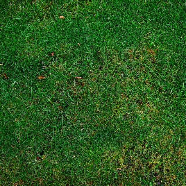 Les matériaux écologiques pour remorques agricoles : guide complet