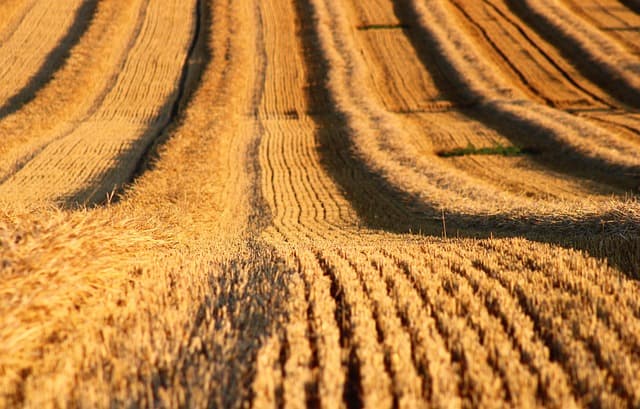 Les avantages des remorques agricoles en acier inoxydable