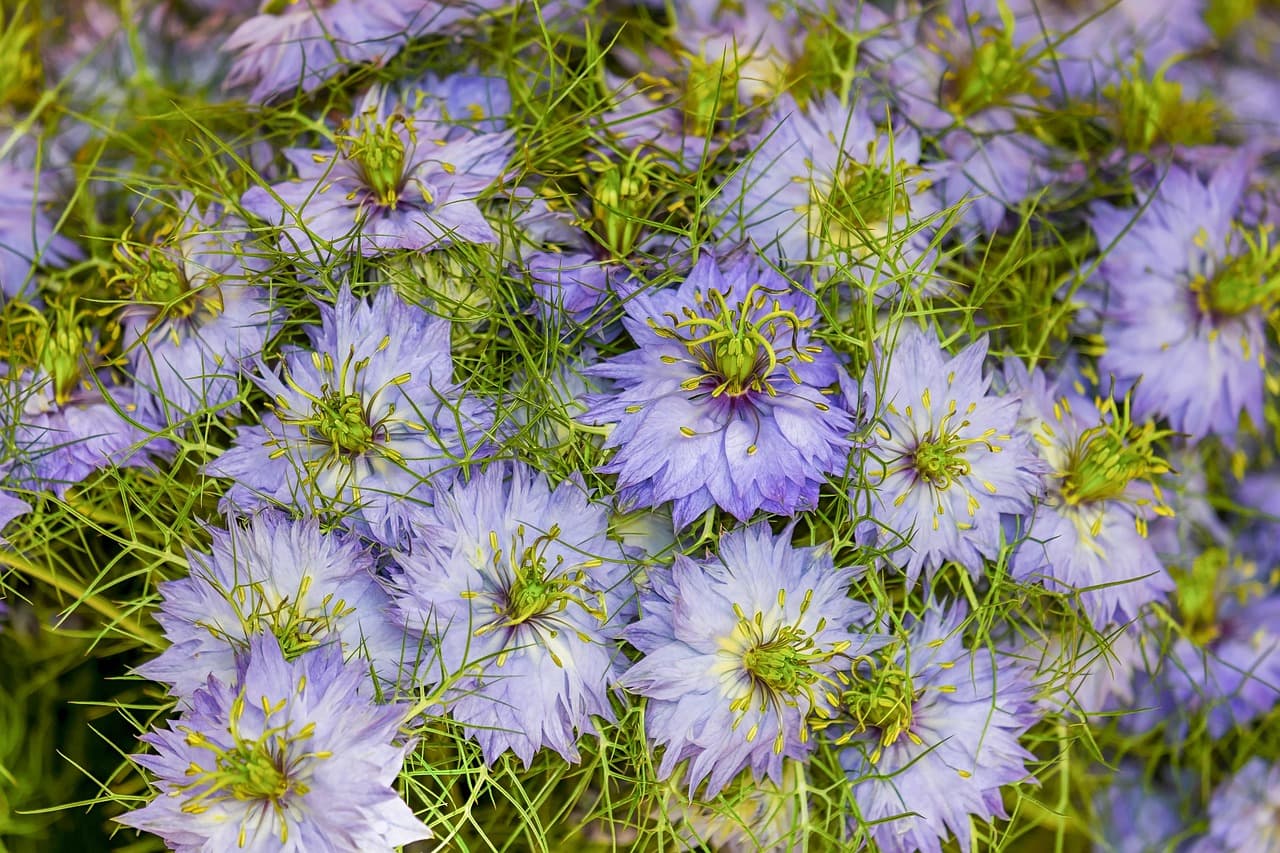 5 conseils pour bien choisir votre remorque agricole pour vos besoins