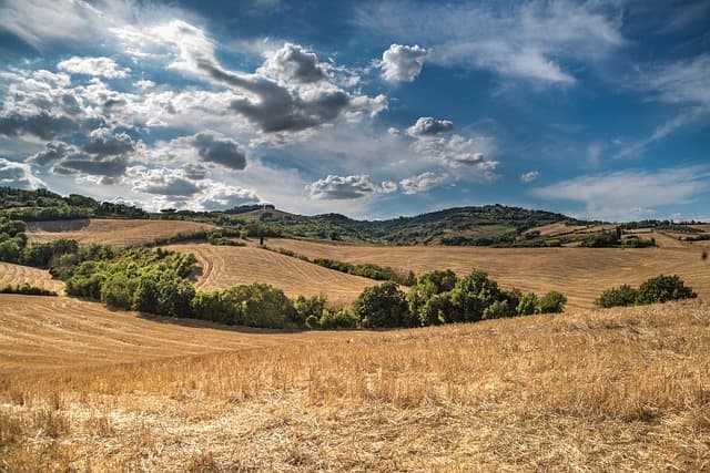 Comment choisir la remorque agricole adaptée à vos besoins