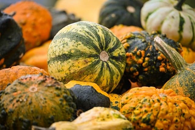 Les avantages des remorques agricoles à benne basculante