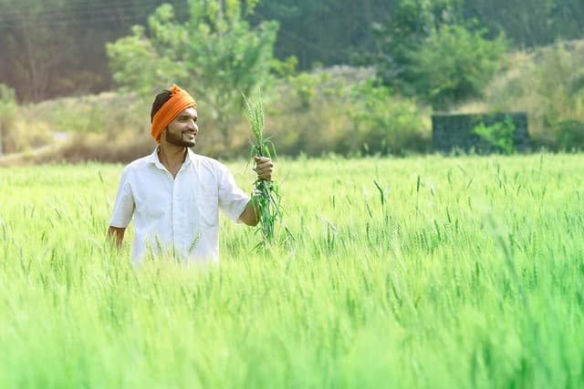 5 astuces pour optimiser l'utilisation de votre remorque agricole